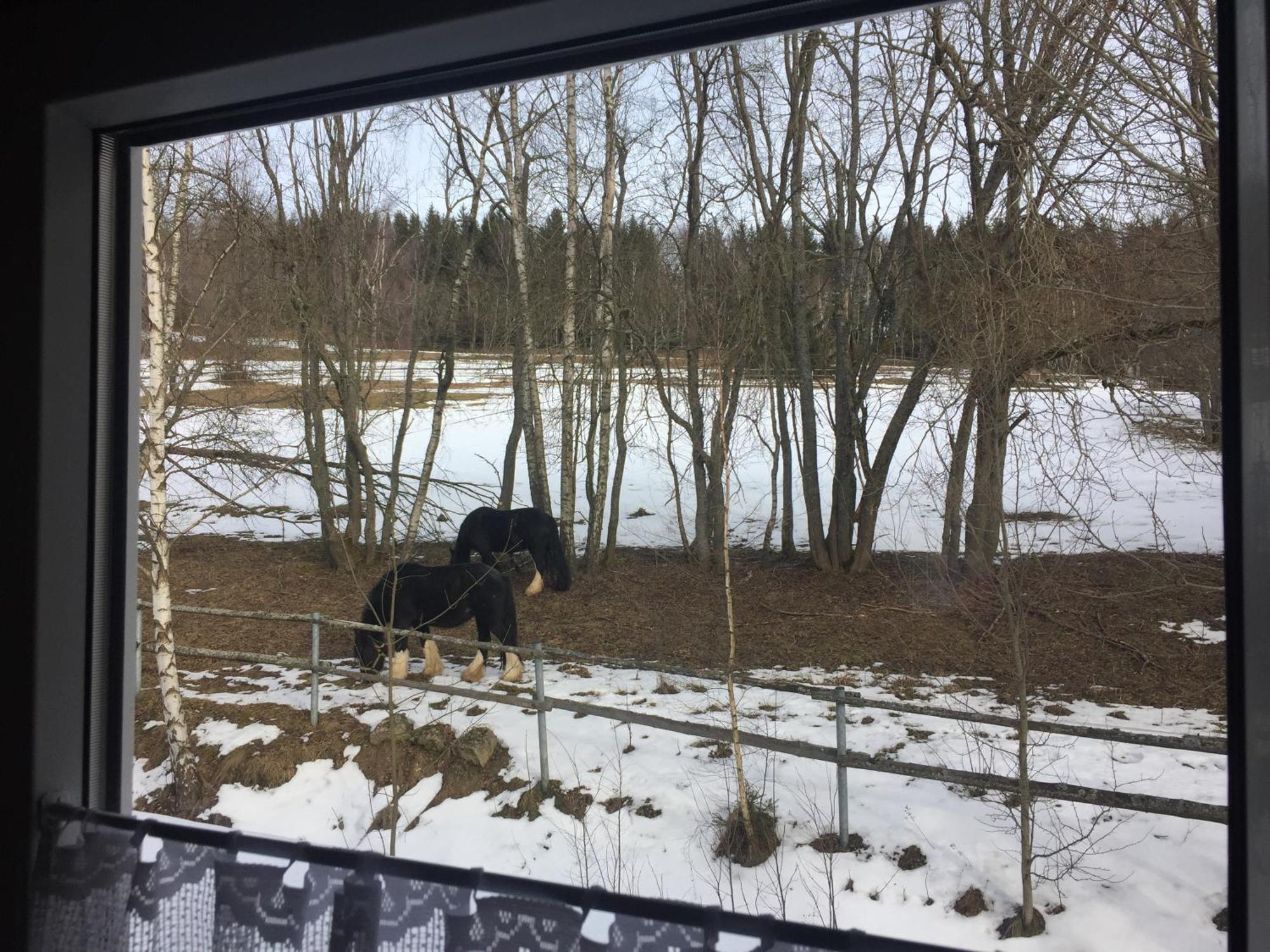 Penzion Na Slunicku Mariánská エクステリア 写真