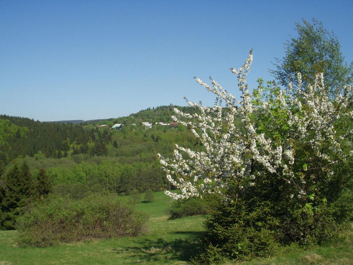 Penzion Na Slunicku Mariánská エクステリア 写真